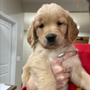 Meet your Posher, Eliana